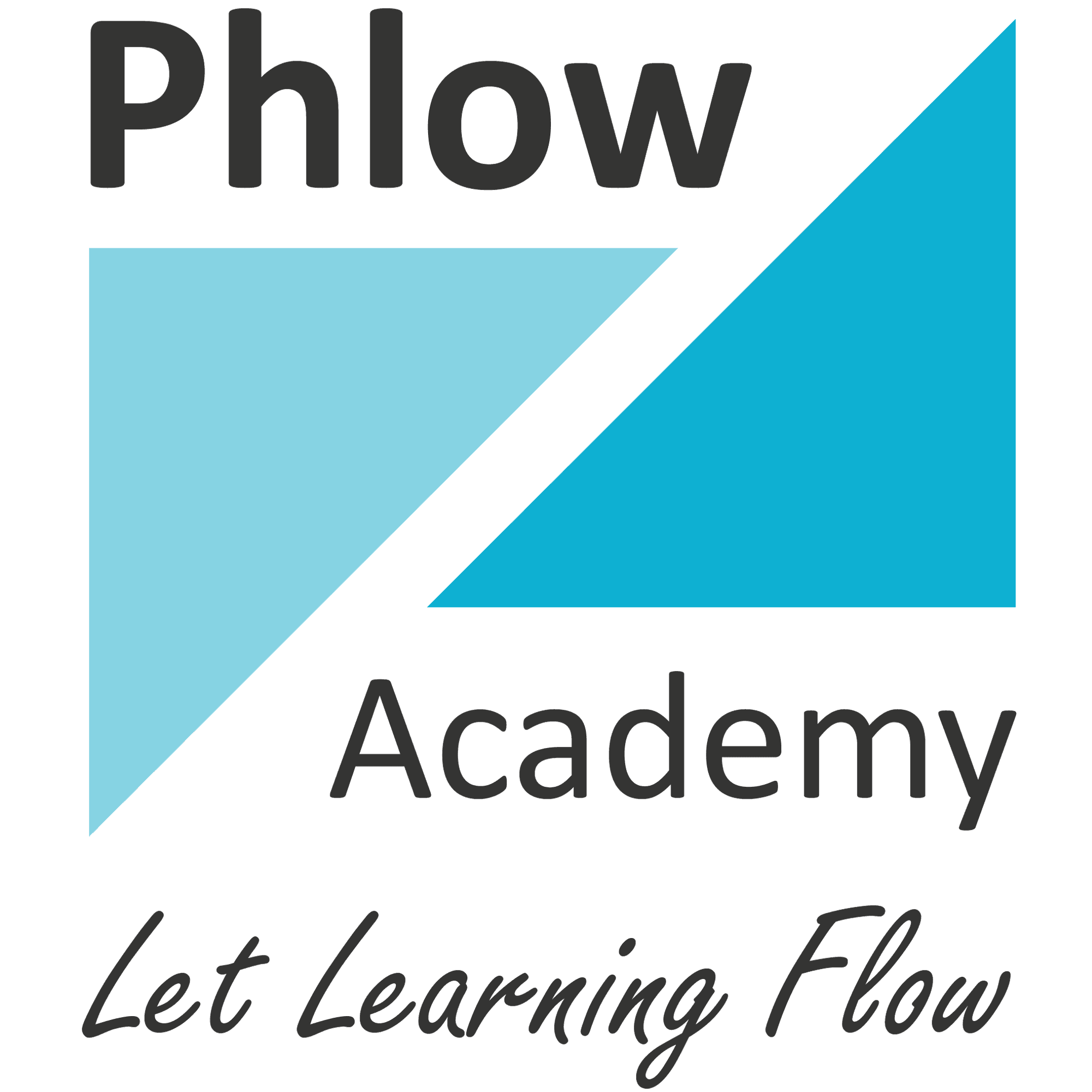 Illustration showing a Phlow as a single designed decision